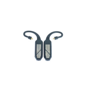 iFi Audio - GO Pod