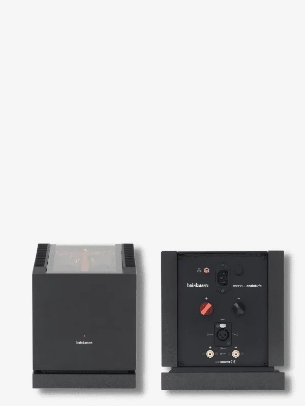 Amplificateur Brinkmann Audio Mono MK2