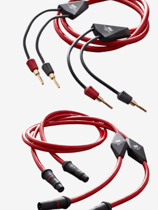 Gryphon Rosso cable secteur modulation enceintes